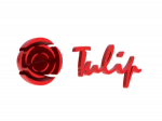 Tulip Tulip