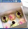 Коробка для 6 капкейков 24*17*10 cм Коробка для 6 капкейков 24*17*10 cм