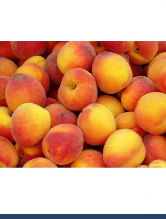 Персик сухой сок (пудра) Персик сухой сок (пудра)