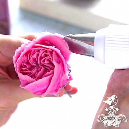 Кондитерская насадка 120 Tulip прорезь 12 мм, лепесток розы изогнутый Кондитерская насадка 120 Tulip прорезь 12 мм, лепесток розы изогнутый